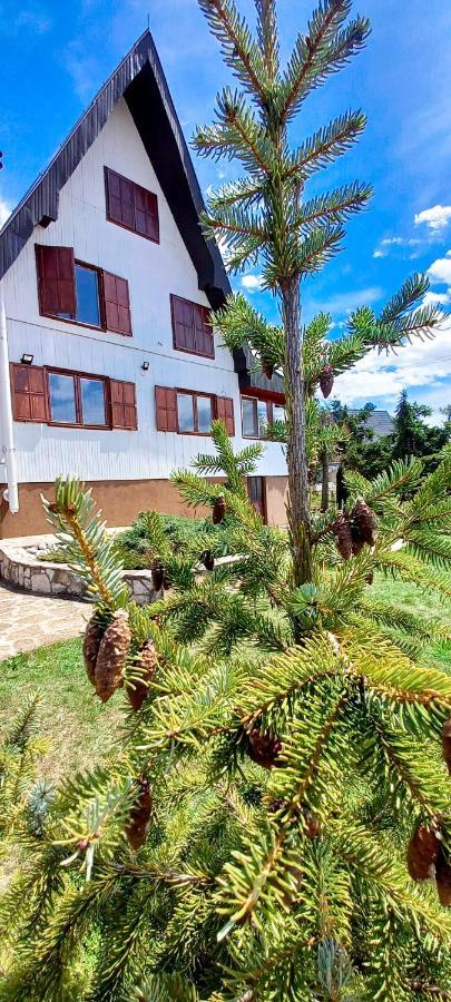 Apartment Relja Zlatibor Exterior foto